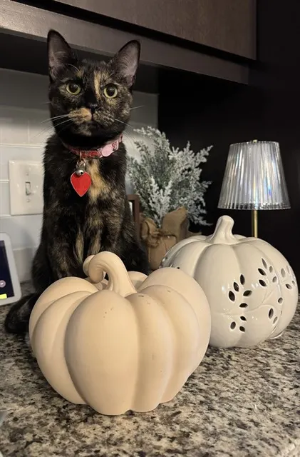 Xena