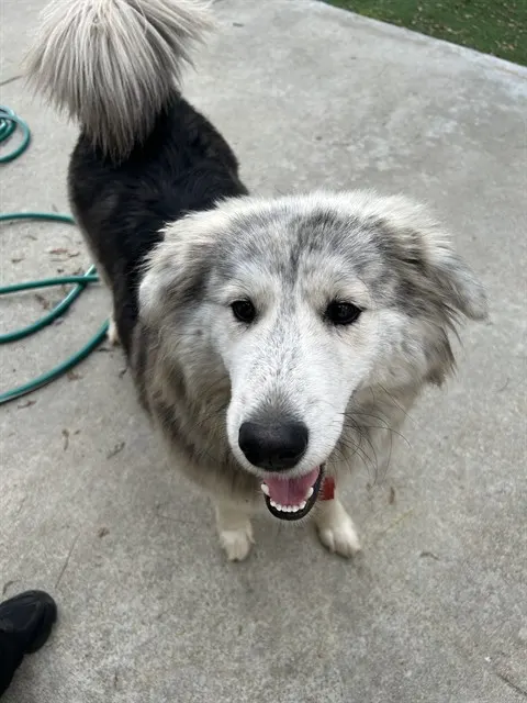 Dundun