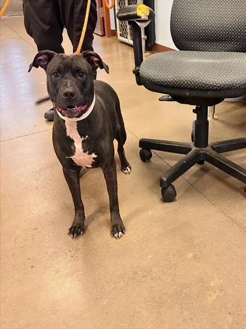 Ethel