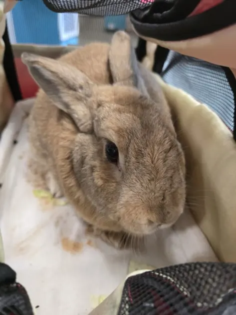 Charlie