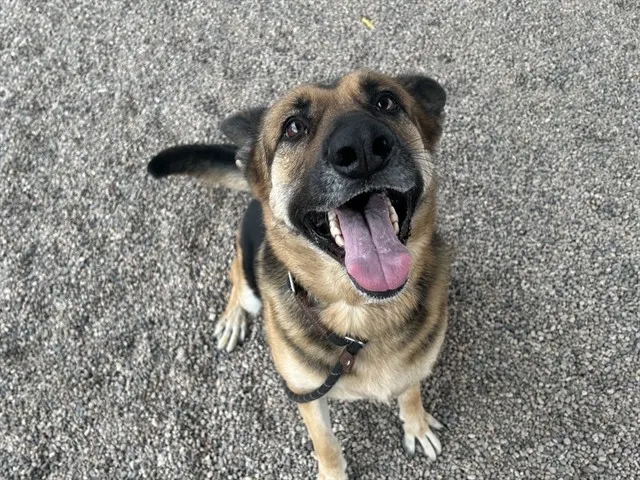 Kiki