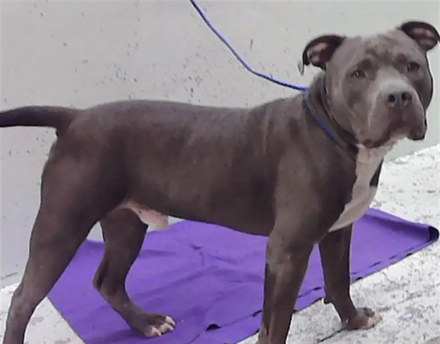 Zeus