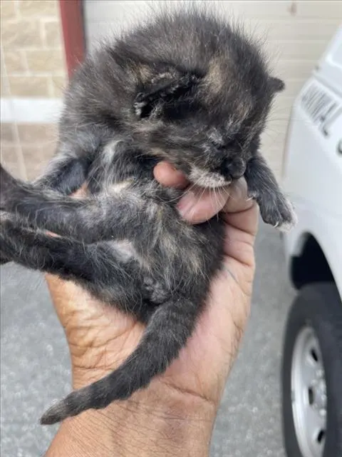*Motel 8