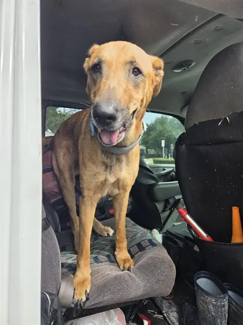 Max