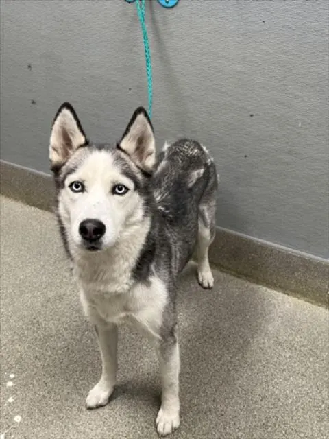 Alaska