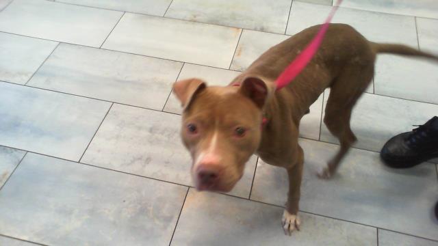 Sally
