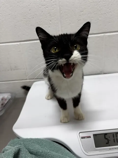 *Binx