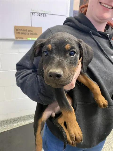 Skye