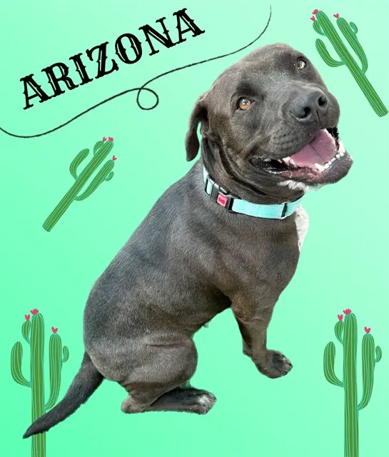 Arizona