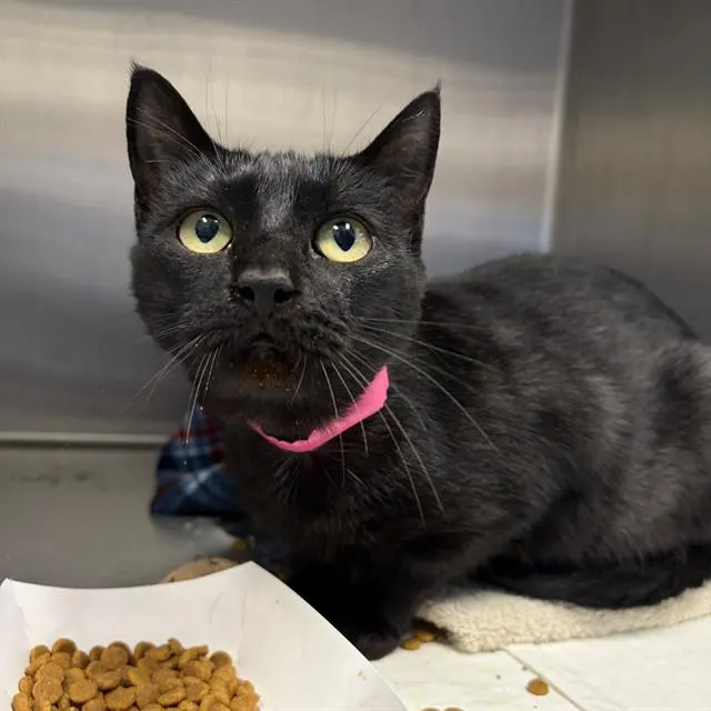 Madison