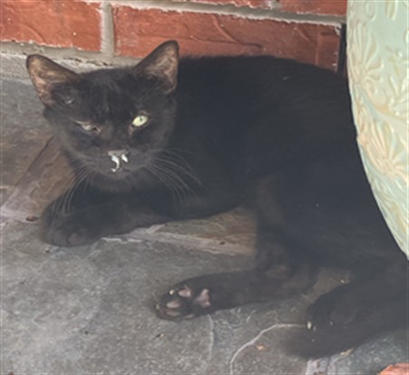 Catrick Swayze