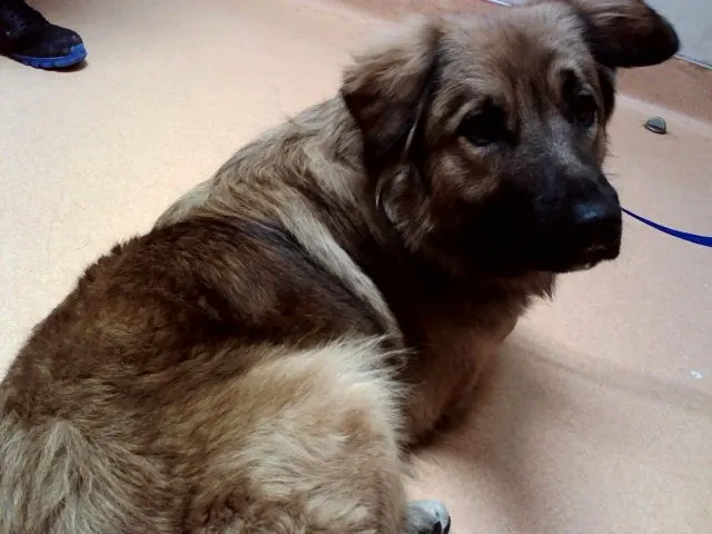 Charlie