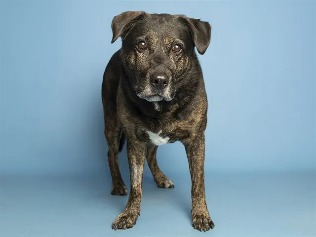Fiona