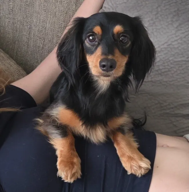 Marley
