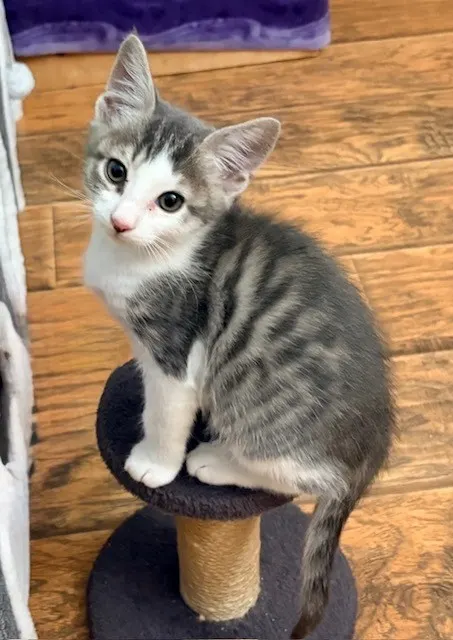 Sam