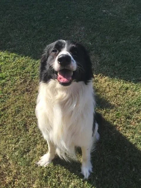 Cash