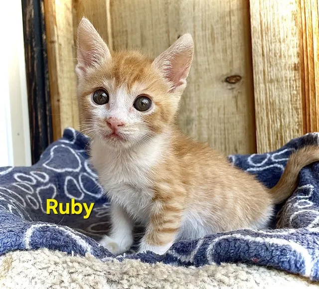 Ruby