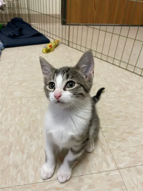 Benny