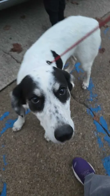 Baby Zero
