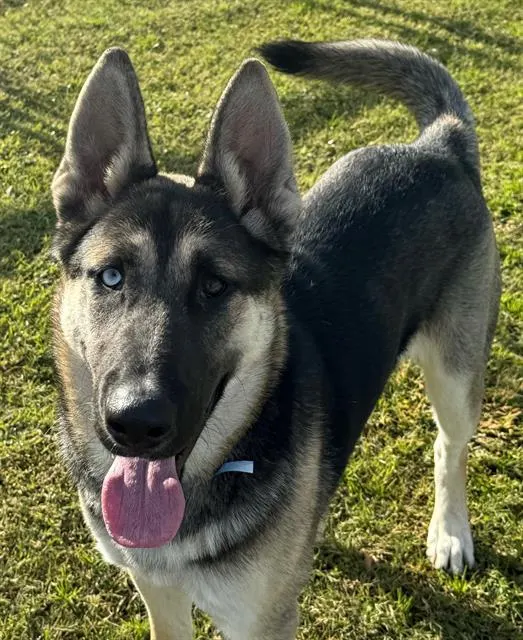 Pablo