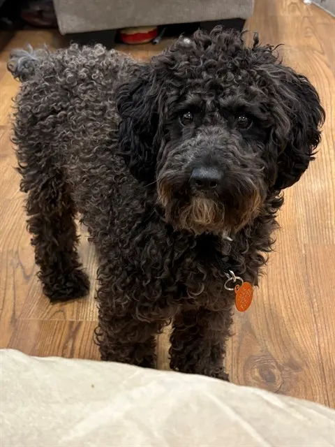 Loukah