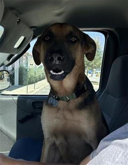 Sam
