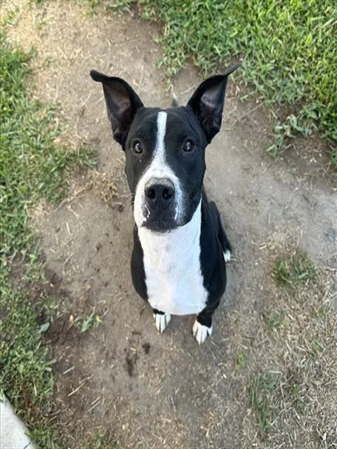 Riley