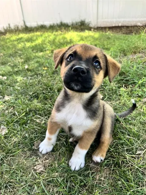 Billy