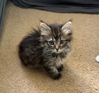 Winnie