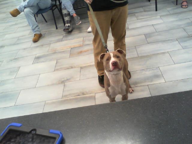 Charlie
