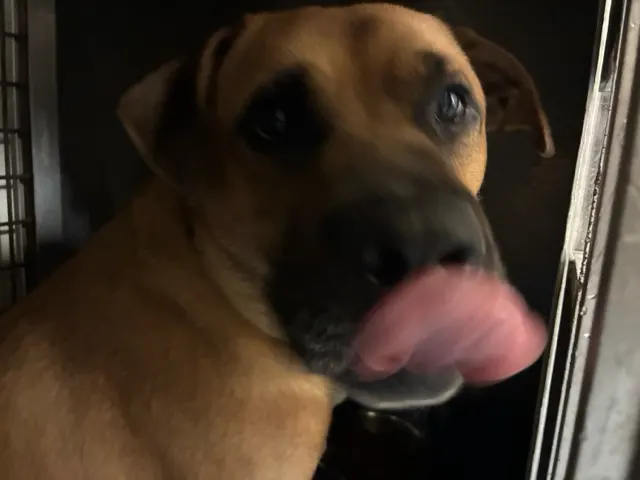 Max