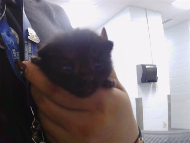 Eloise