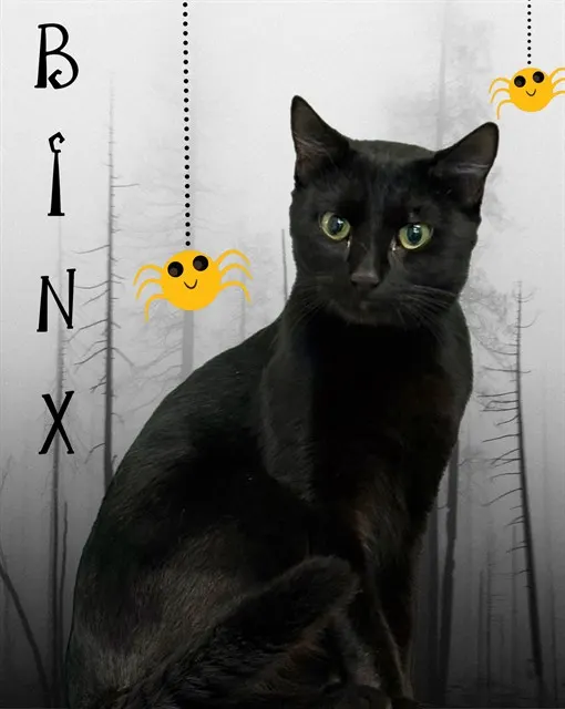 Binx