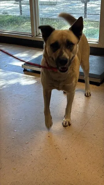 Chloe