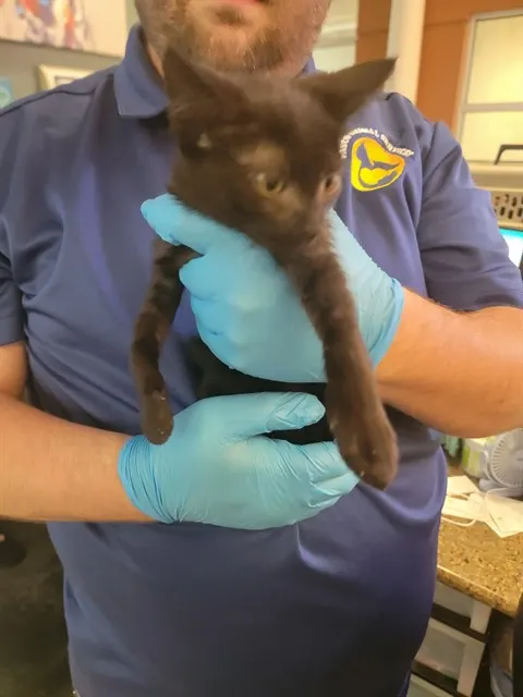 Salem