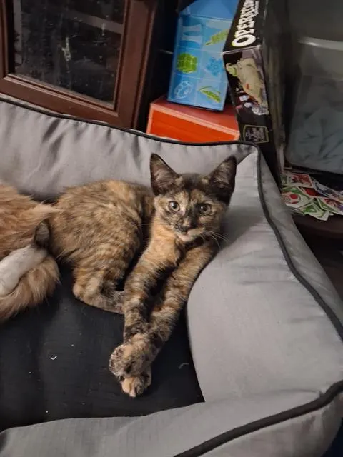 Winnie