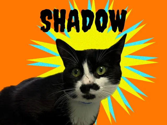 Shadow