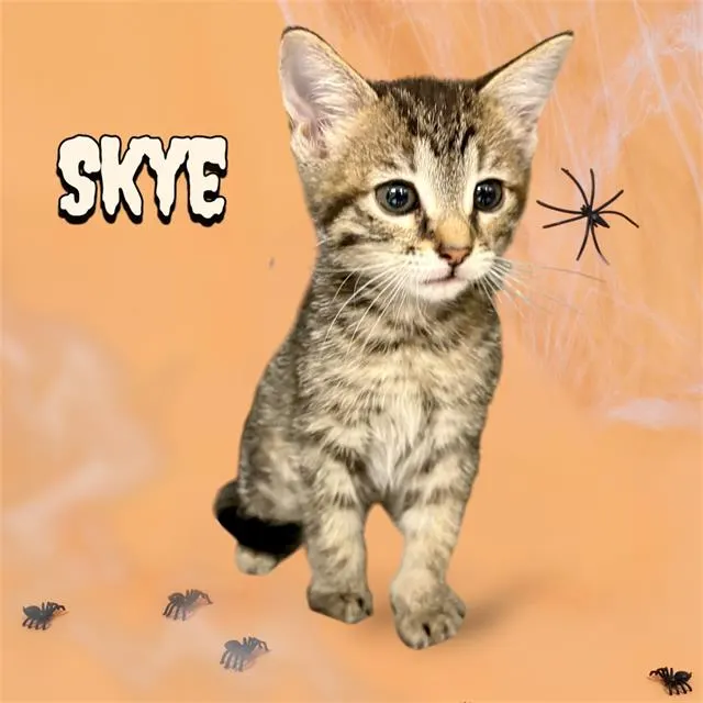 Skye