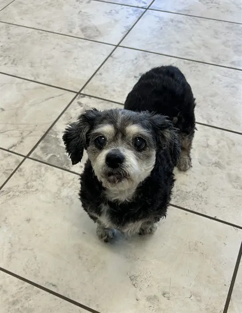 Chloe