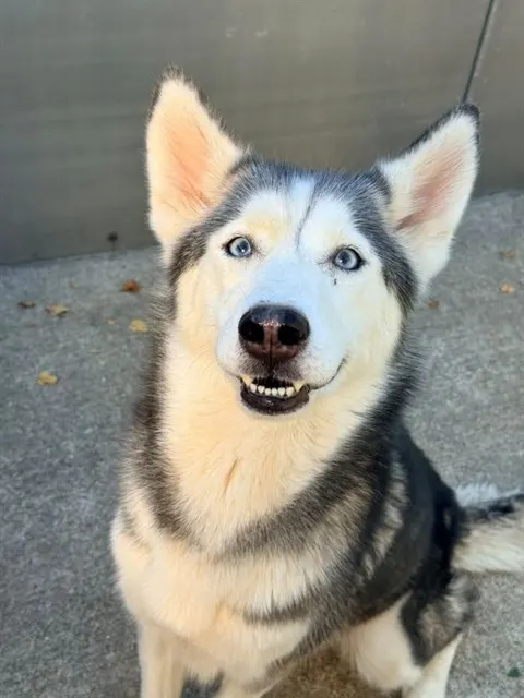 Nelda