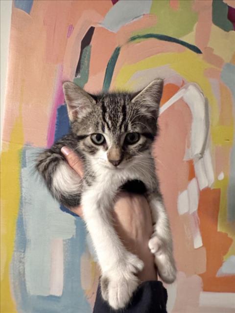 *Mitty