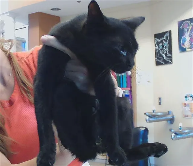 Salem