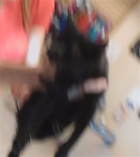 Frida