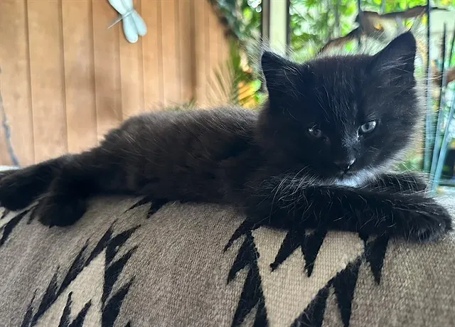 Lenny