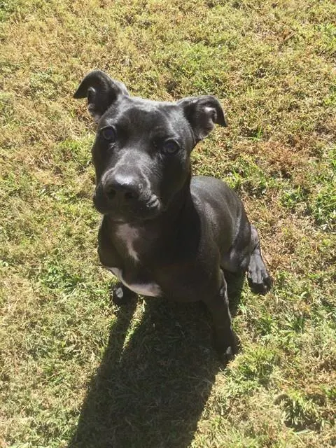 Suzie