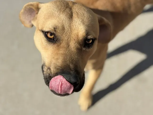Tucker