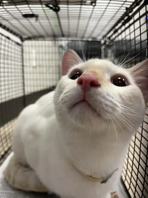 Casper
