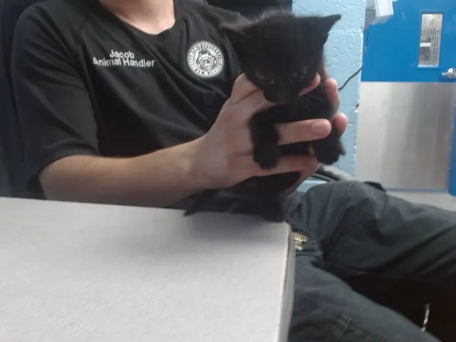 Salem
