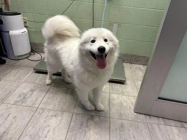 Luna