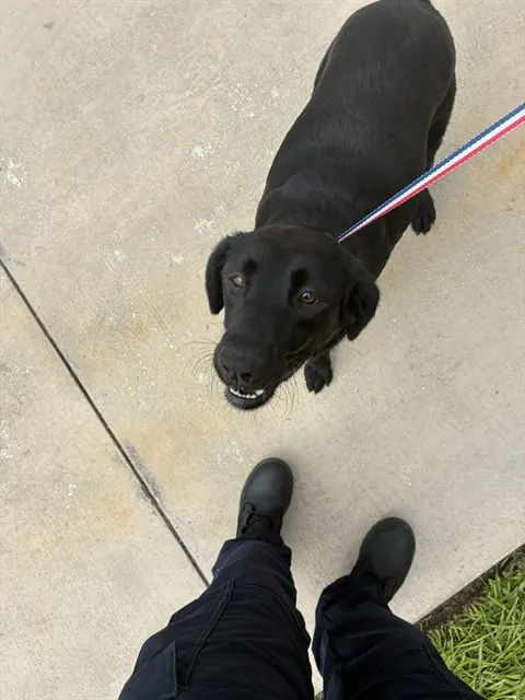 Sophie